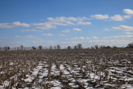 Daviess County Land Auction – April 13, 2019 - image 8