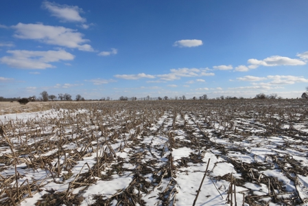 Daviess County Land Auction – April 13, 2019 - image 9