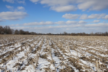 Daviess County Land Auction – April 13, 2019 - image 4