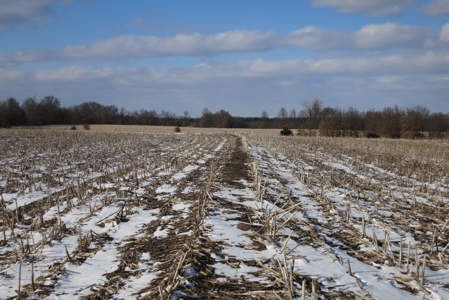 Daviess County Land Auction – April 13, 2019 - image 2