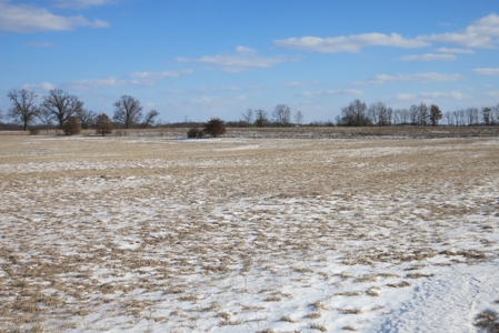 Daviess County Land Auction – April 13, 2019 - image 11