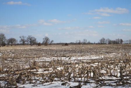 Daviess County Land Auction – April 13, 2019 - image 6