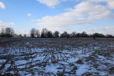 Daviess County Land Auction – April 13, 2019 - image 18