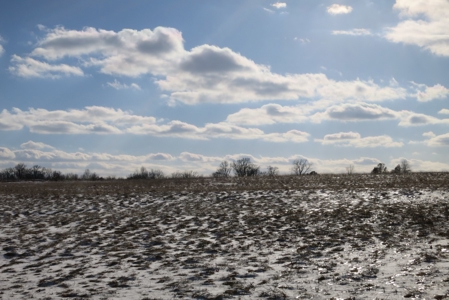 Daviess County Land Auction – April 13, 2019 - image 14