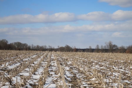 Daviess County Land Auction – April 13, 2019 - image 3