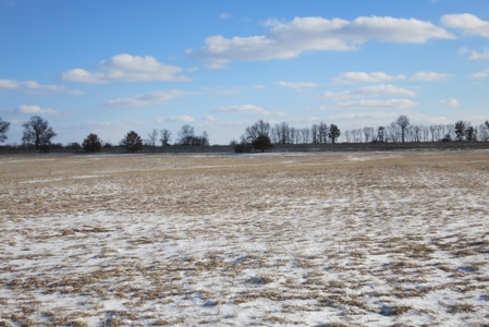 Daviess County Land Auction – April 13, 2019 - image 17