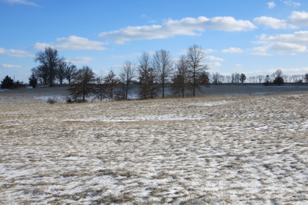 Daviess County Land Auction – April 13, 2019 - image 15