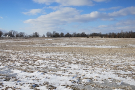 Daviess County Land Auction – April 13, 2019 - image 12