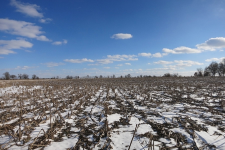 Daviess County Land Auction – April 13, 2019 - image 7