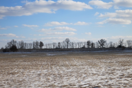 Daviess County Land Auction – April 13, 2019 - image 16