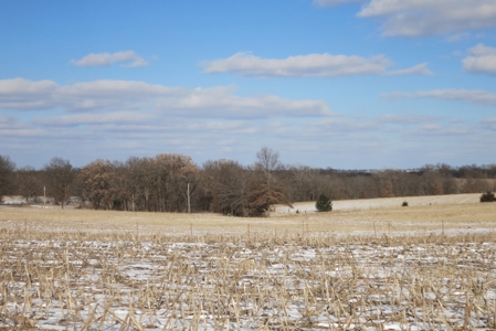 Daviess County Land Auction – April 13, 2019 - image 1