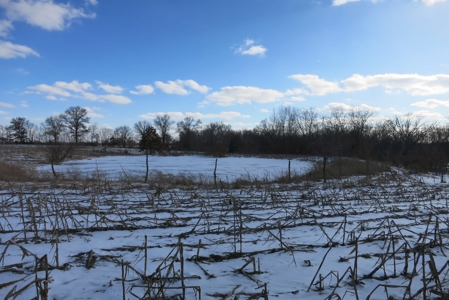 Daviess County Land Auction – April 13, 2019 - image 8