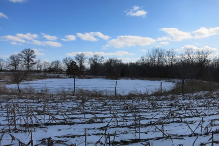 Daviess County Land Auction – April 13, 2019 - image 7