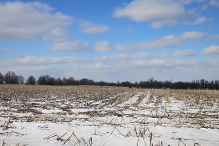 Daviess County Land Auction – April 13, 2019 - image 2