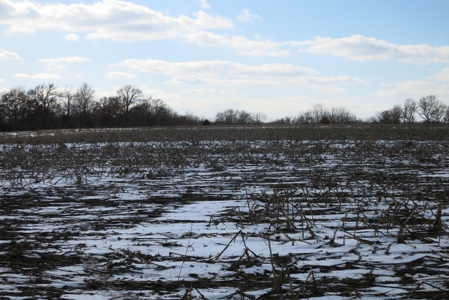 Daviess County Land Auction – April 13, 2019 - image 1