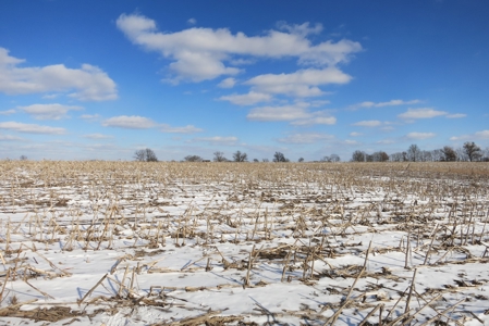 Daviess County Land Auction – April 13, 2019 - image 10