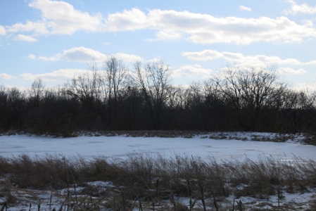 Daviess County Land Auction – April 13, 2019 - image 5