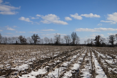 Daviess County Land Auction – April 13, 2019 - image 11