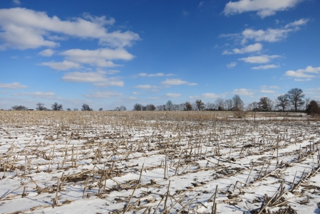 Daviess County Land Auction – April 13, 2019 - image 9