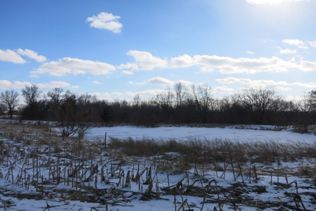 Daviess County Land Auction – April 13, 2019 - image 6