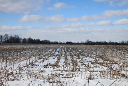 Daviess County Land Auction – April 13, 2019 - image 4