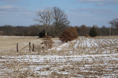 Daviess County Land Auction – April 13, 2019 - image 13