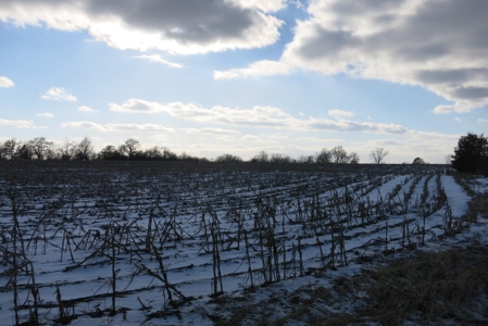 Daviess County Land Auction – April 13, 2019 - image 14