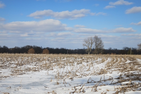 Daviess County Land Auction – April 13, 2019 - image 3