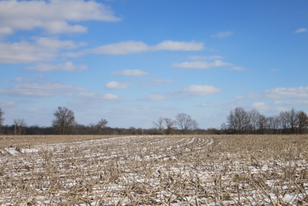 Daviess County Land Auction – April 13, 2019 - image 12
