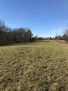 Approx 65 acres /416,000 BF Timber For Sale At Auction in KY - image 11