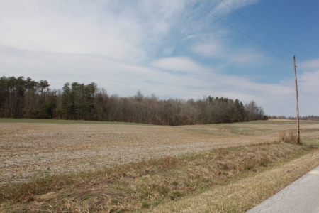 91.52 Acres Crop, Hunting & Woods, Building Sites in KY - image 24