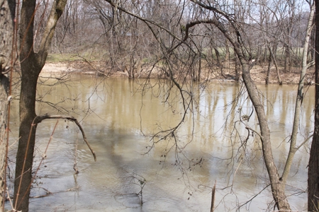 91.52 Acres Crop, Hunting & Woods, Building Sites in KY - image 11