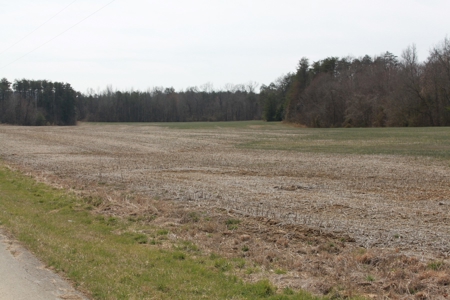 91.52 Acres Crop, Hunting & Woods, Building Sites in KY - image 14