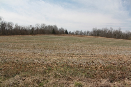91.52 Acres Crop, Hunting & Woods, Building Sites in KY - image 4