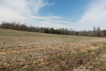 91.52 Acres Crop, Hunting & Woods, Building Sites in KY - image 5