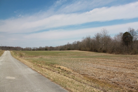 91.52 Acres Crop, Hunting & Woods, Building Sites in KY - image 25