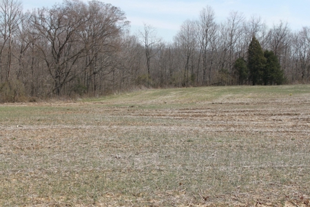 91.52 Acres Crop, Hunting & Woods, Building Sites in KY - image 18