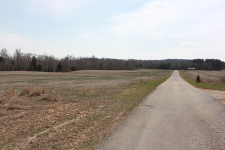 91.52 Acres Crop, Hunting & Woods, Building Sites in KY - image 12
