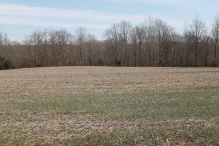 91.52 Acres Crop, Hunting & Woods, Building Sites in KY - image 16