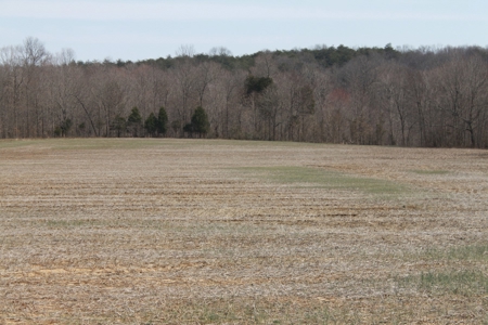 91.52 Acres Crop, Hunting & Woods, Building Sites in KY - image 1