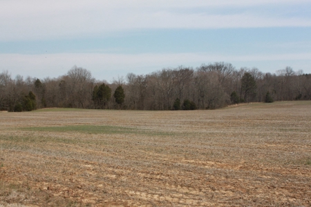 91.52 Acres Crop, Hunting & Woods, Building Sites in KY - image 6