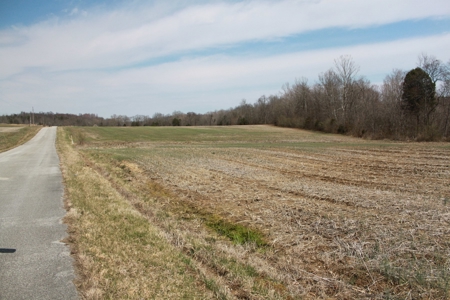 91.52 Acres Crop, Hunting & Woods, Building Sites in KY - image 21