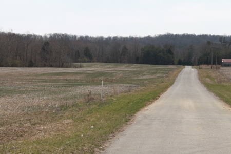 91.52 Acres Crop, Hunting & Woods, Building Sites in KY - image 13