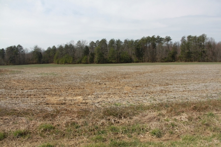 91.52 Acres Crop, Hunting & Woods, Building Sites in KY - image 19