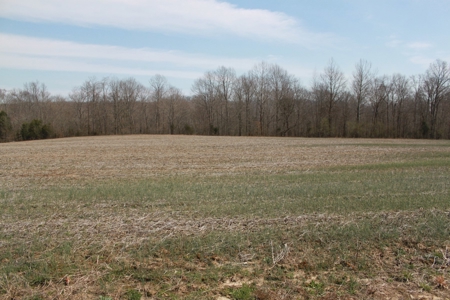 91.52 Acres Crop, Hunting & Woods, Building Sites in KY - image 17