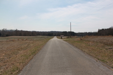 91.52 Acres Crop, Hunting & Woods, Building Sites in KY - image 2