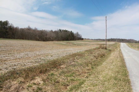 91.52 Acres Crop, Hunting & Woods, Building Sites in KY - image 20