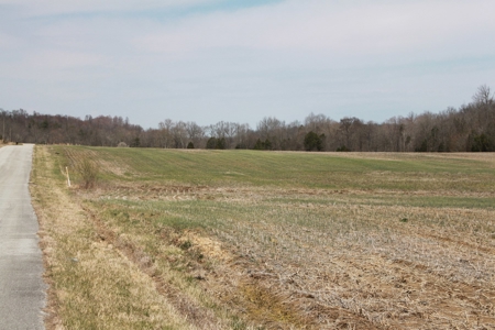 91.52 Acres Crop, Hunting & Woods, Building Sites in KY - image 22