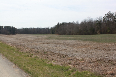 91.52 Acres Crop, Hunting & Woods, Building Sites in KY - image 15