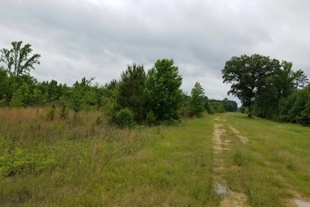 Texas Land Auction Karnack, TX - image 6